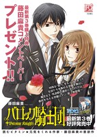 「バロック騎士団」3巻の告知ポスター。