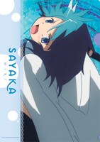 E賞「クリアファイル3枚セット」の1枚。(C)Magika Quartet／Aniplex・Madoka Partners・MBS