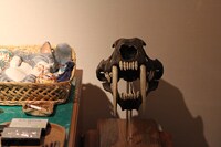 机の上にはサーベルタイガーの頭蓋骨まで。(c)Fujiko-Pro