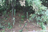 ひみつ道具のウマタケ。注意していないと見つからない場所にある。(c)Fujiko-Pro