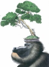 大友克洋、寺田克也、中川いさみ「親父衆」カット。 (C)大友克洋／集英社