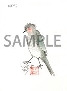 とりのなん子「とりぱん大図鑑」の描き下ろし原画を頒布