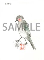 イラストの一例「ヒヨドリのヒヨちゃん」