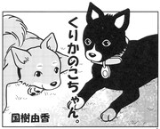 国樹由香「くりかのこちゃん。」(C)国樹由香／「僕らの漫画」製作委員会