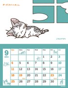 画像は2011年版のデザイン。