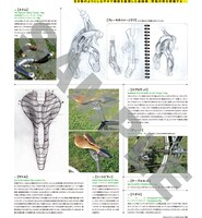 「少女自転車解放区」のサンプル。