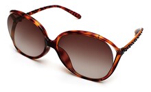 「ハンコック」モデルのブラウンデミ (C)尾田栄一郎／集英社・フジテレビ・東映アニメーション