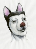 「革命戦士 犬童貞男」の主人公・犬童貞男。