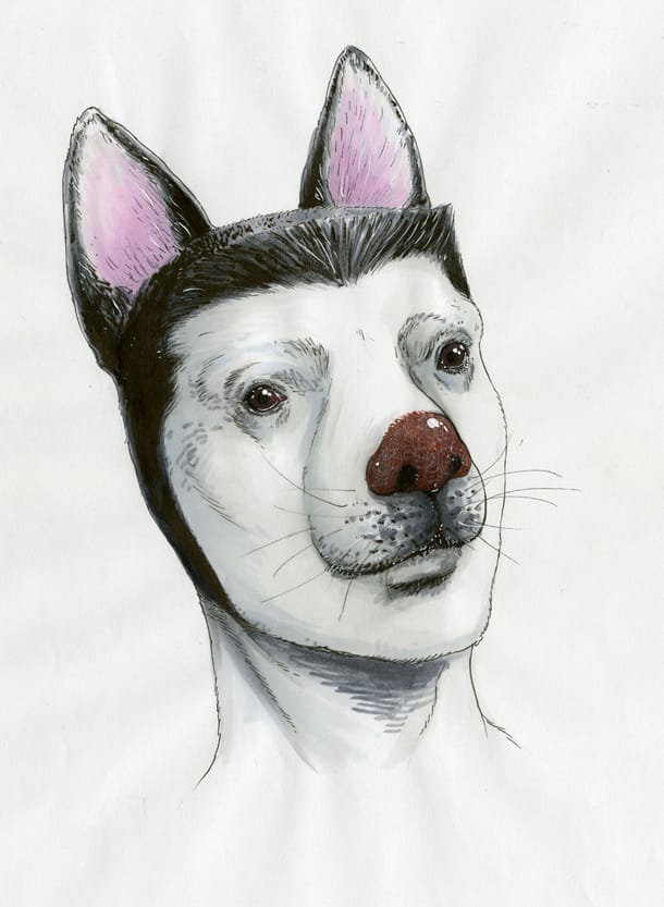犬人間が人類を根絶やしに ヤンマガで佐々木昇平の新作 コミックナタリー