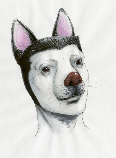 「革命戦士 犬童貞男」の主人公・犬童貞男。