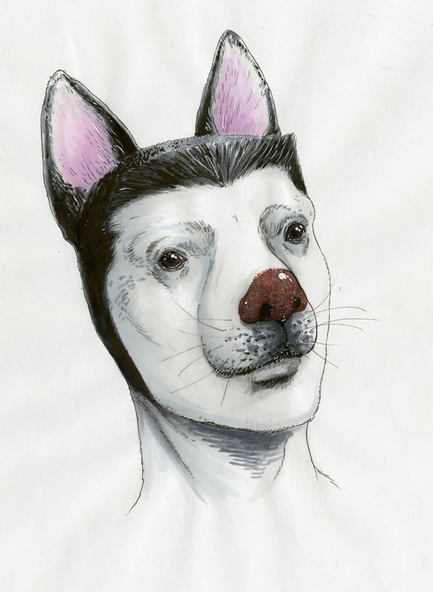 「革命戦士 犬童貞男」の主人公・犬童貞男。