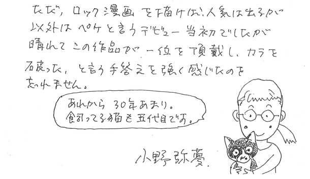 小野弥夢自薦による、「ロマンティカル・ブルー・イルミネーション」へのコメントの一部。