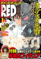 月刊チャンピオンRED2012年1月号