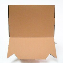 「はかせ」の背面。(C)あらゐけいいち・角川書店／東雲研究所