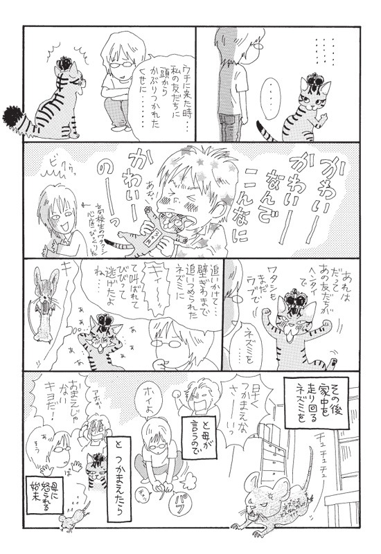 いくえみ綾「かわいいにもほどがある」より。