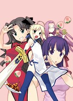 「TAKE MOON 武梨えり TYPE-MOON作品集 特別版」特典の特製ポストカード。