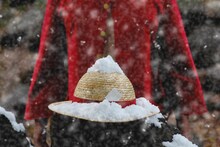 「ルフィの麦わら～3D2Y～」イメージ画像。(C)尾田栄一郎／集英社・フジテレビ・東映アニメーション