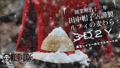 「ルフィの麦わら～3D2Y～」イメージ画像。(C)尾田栄一郎／集英社・フジテレビ・東映アニメーション