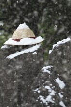 「ルフィの麦わら～3D2Y～」イメージ画像。(C)尾田栄一郎／集英社・フジテレビ・東映アニメーション