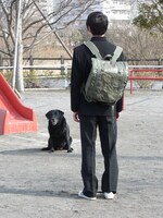 「世界最後の日々」場面写真(c)2012「世界最後の日々」製作委員会