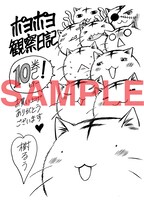 フェア参加書店で「ポヨポヨ観察日記」10巻を買うともらえるペーパー。