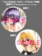 「To LOVEる -とらぶる- ダークネス」1巻から4巻のうち1冊を購入すると、どちらかのポストカードがもらえる。