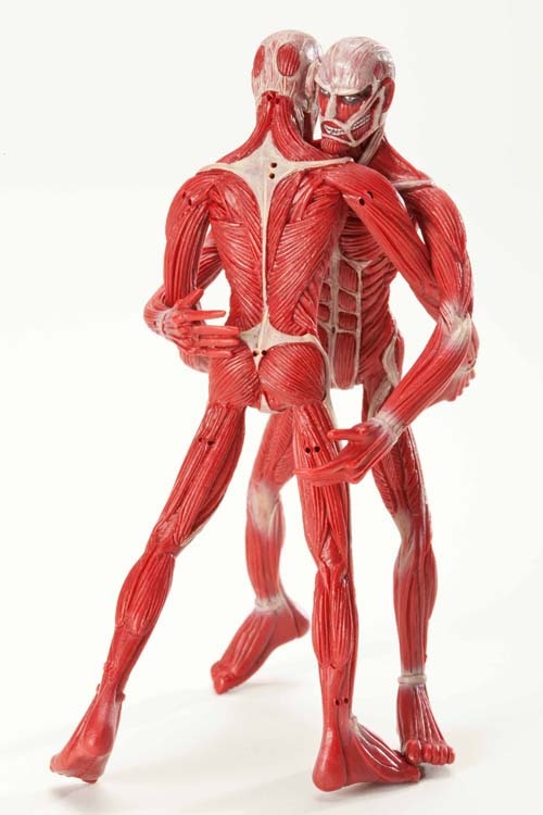 限定版を2冊購入すれば、超大型巨人フィギュア同士で相撲を取らせることも可能に。