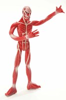 超大型巨人フィギュア。