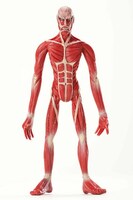 超大型巨人フィギュア。