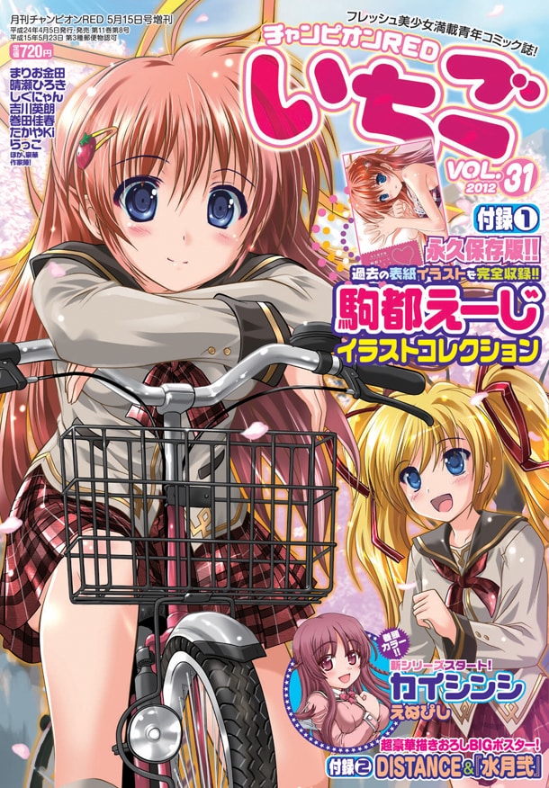 チャンピオンREDいちご31号