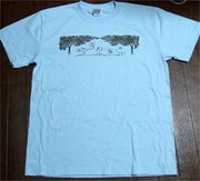 スカートTシャツのライトブルー。