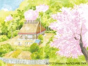 「ゆずべんとう」カット