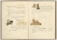 「スター名鑑」肉筆本（c）手塚プロダクション