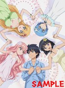 付録の「ゼロの使い魔F」ポスター。