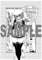 COMIC ZIN用の特典。
