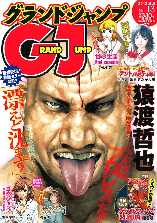 グランドジャンプ13号