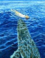 画集「海獣とタマシイ」収録予定作品の一部。