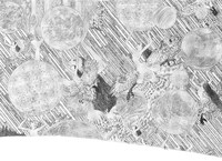 画集「海獣とタマシイ」収録予定作品の一部。