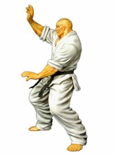 「RDF/愚地独歩 強きを求めし者」通常版。(C)板垣恵介/FWD Inc.