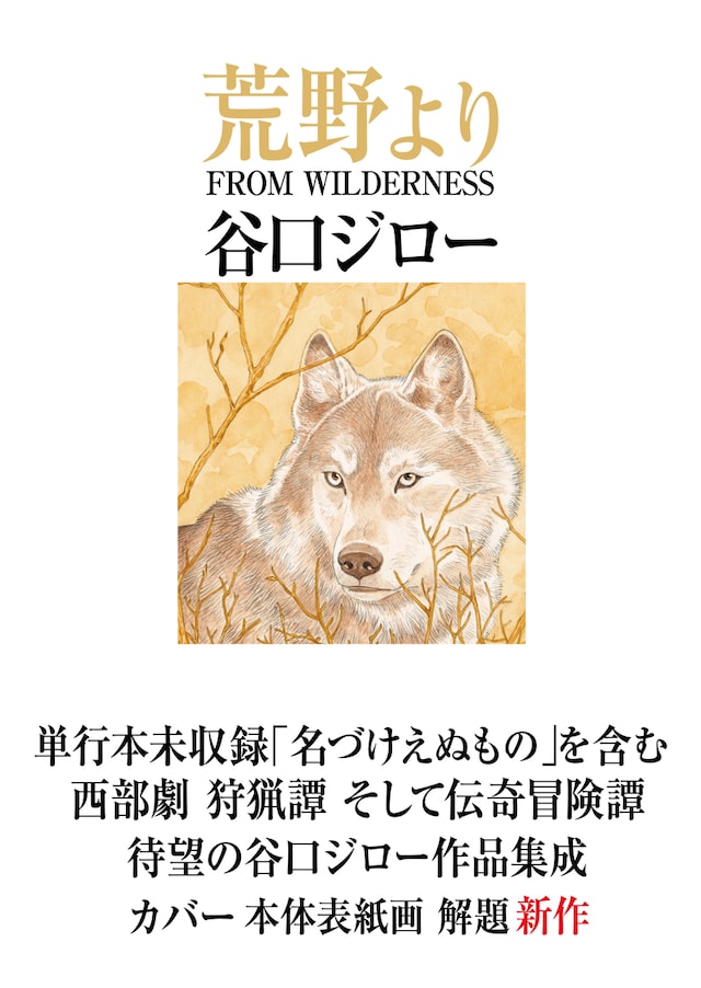 「荒野より FROM WILDERNESS」