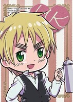 リーフレットにランダムで封入されるブロマイド。（写真はイギリス）(C)2010 日丸屋秀和・幻冬舎コミックス/ヘタリア製作委員会