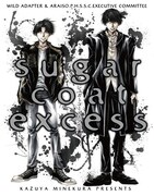 画集「sugar coat excess」