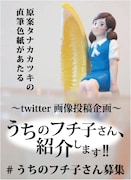 「うちのフチ子さん、紹介します!!」の告知画像。(C)タナカカツキ2012／KITAN CLUB