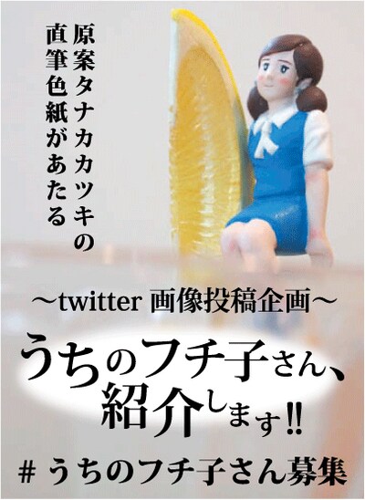 「うちのフチ子さん、紹介します!!」の告知画像。(C)タナカカツキ2012／KITAN CLUB