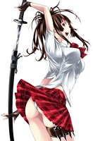 「一騎当千」20巻のイメージカット。