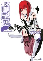 「夜桜四重奏～ヨザクラカルテット～」12巻限定版