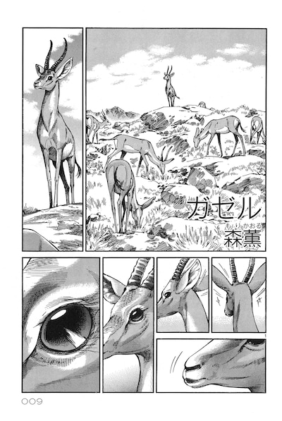 「サイレントフェローズ」より、森薫「ガゼル」。