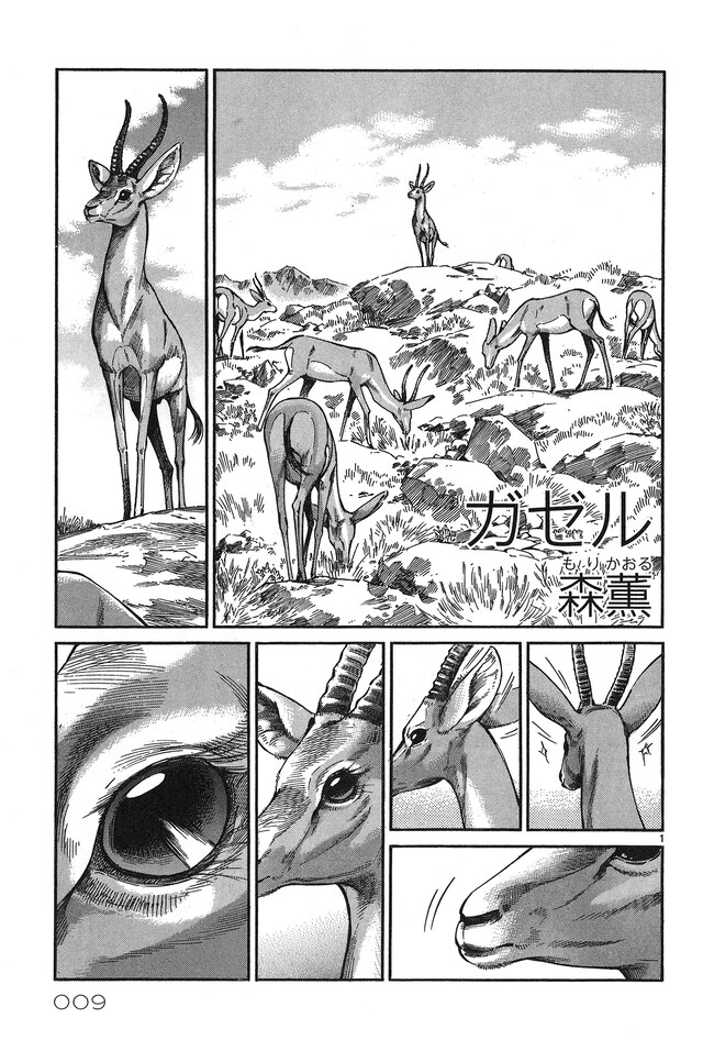 「サイレントフェローズ」より、森薫「ガゼル」。