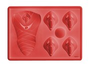 「シリコンアイストレー 第10の使徒」（c）カラー