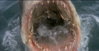 CMにも使用されている、「JAWS コレクターズ・エディション」のワンシーン。(C)1975 Universal Studios.ALL RIGHTS RESERVED